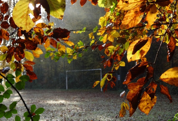 Sportplatz Sommerberg - Rösrath