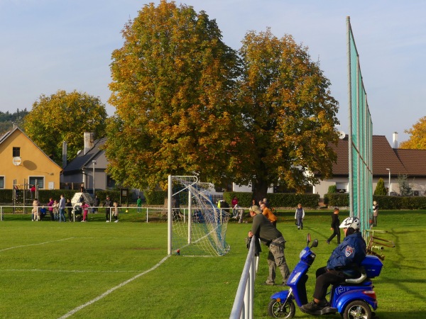 Hřiště Sparta Radonice - Radonice