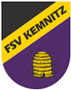 Wappen FSV Kemnitz 1991 diverse