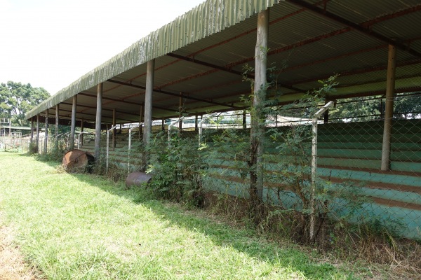 Mumias Sports Complex - Mumias