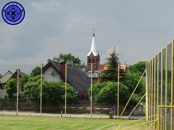 Stadion w Czarnymlesie - Przygodzice