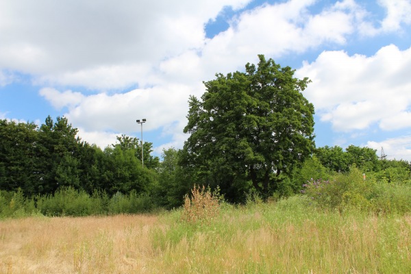 Sportplatz Hubertstraße - Essen/Ruhr-Frillendorf