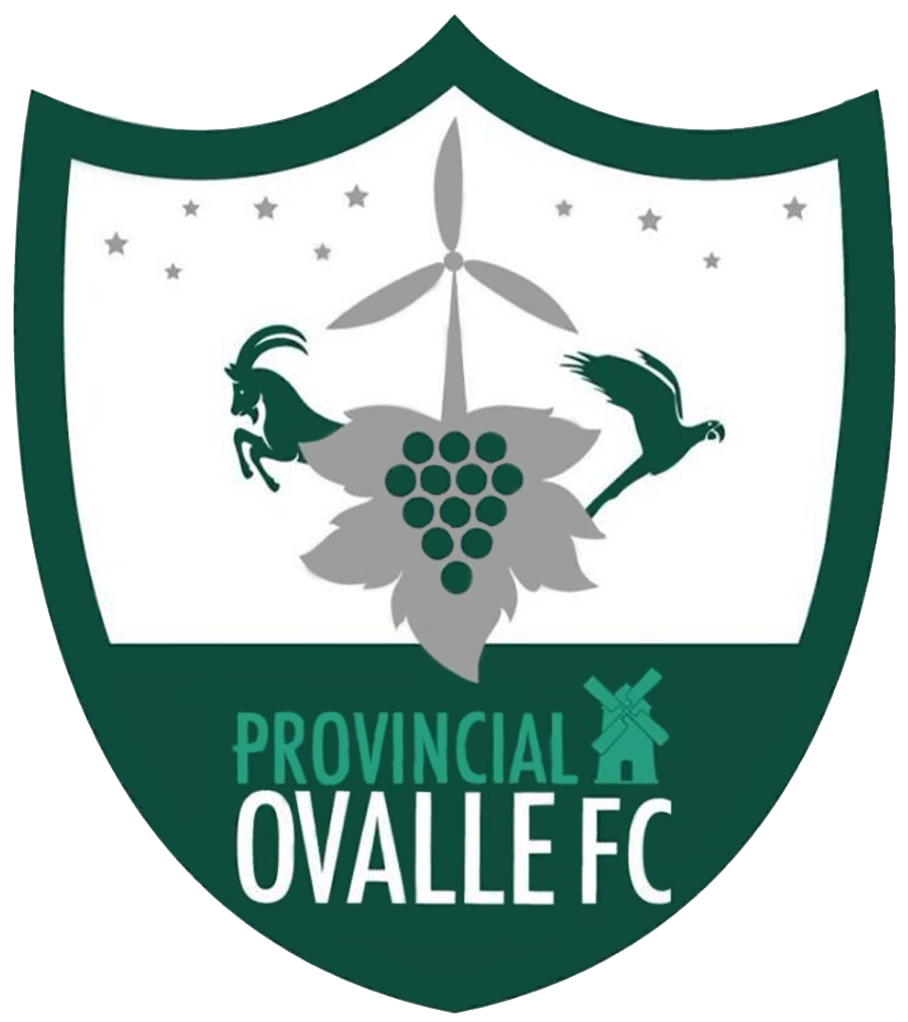 Wappen Provincial Ovalle FC
