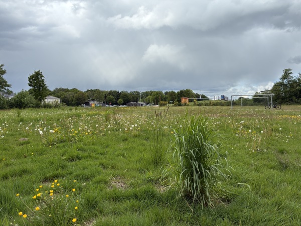 Sportplatz Altweilnau - Weilrod-Altweilnau