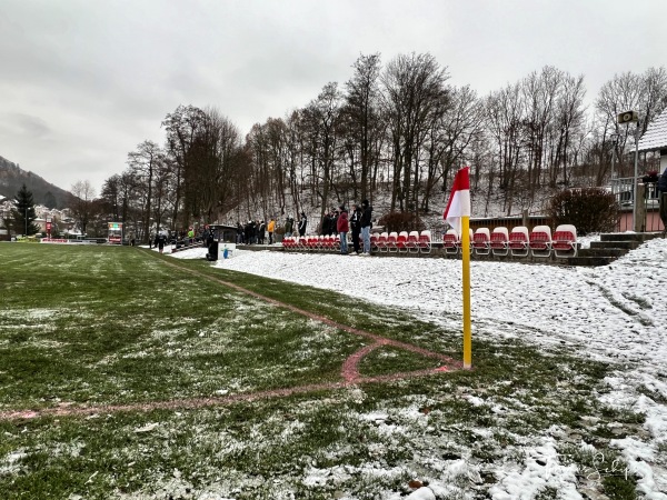 Glücksbrunn-Arena - Schweina