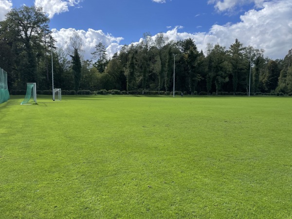 Waldsportplatz 2 - Singen/Hohentwiel-Überlingen