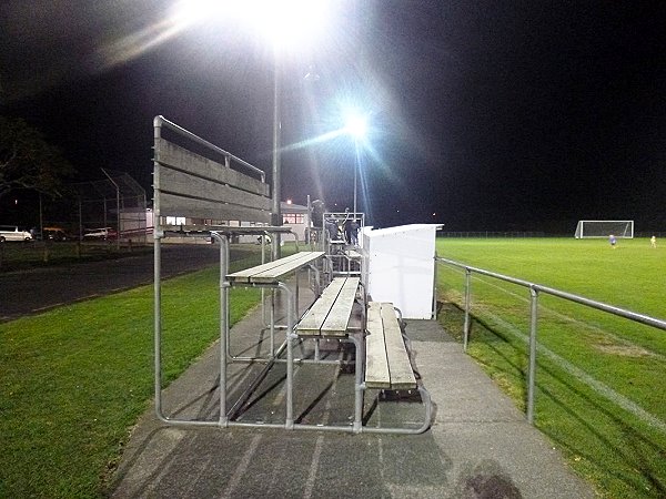 Phyllis Street Reserve - Mt Albert, Auckland