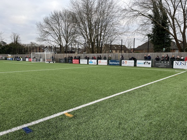The Meadowbank Stadium - Dorking, Surrey