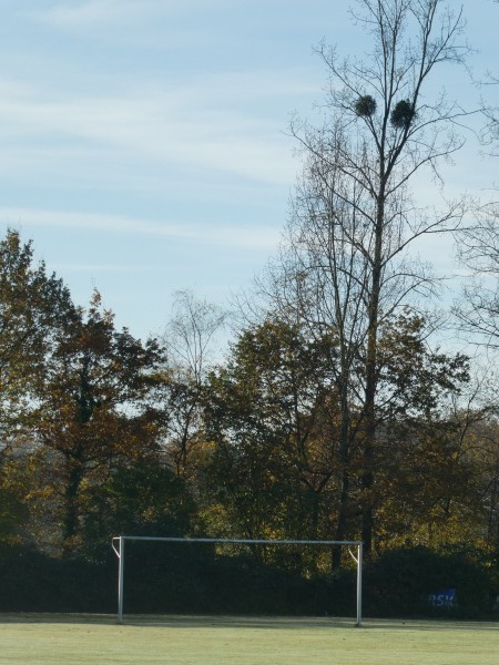 Sportplatz Venauen - Rösrath