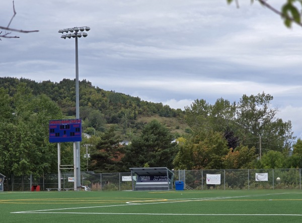 Doug Sweetapple Field - Corner Brook, NL