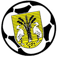 Wappen VV Reiger Boys  36893