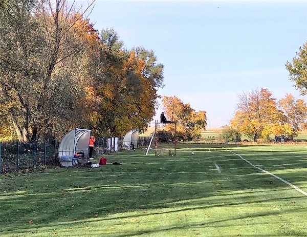 Boisko w Skarszewie - Skarszew