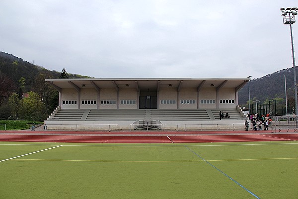 Stadion Schöntal - Neustadt/Weinstraße