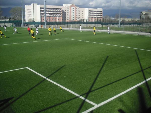 Vitali Daraselia Academy - Tbilisi
