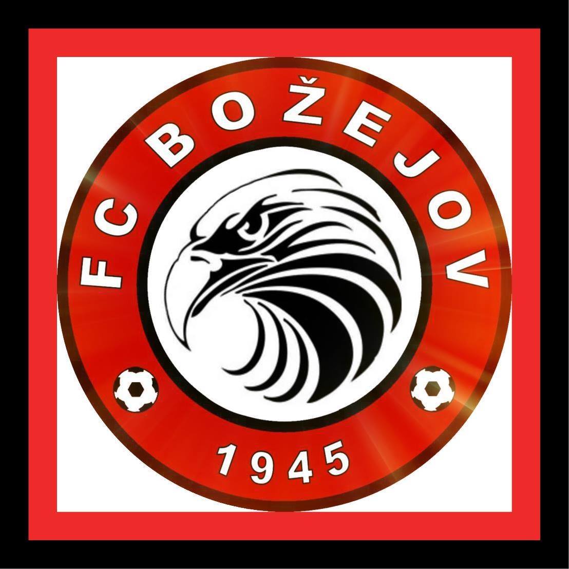 Wappen TJ Sokol Božejov