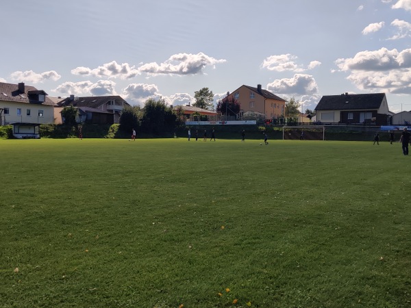 Birkenstadion - Saal/Donau-Mitterfecking