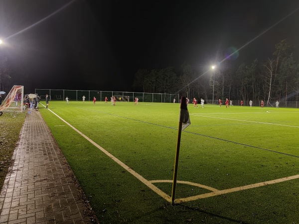 Waldsportanlage Platz 3 - Fürth/Mittelfranken-Stadeln