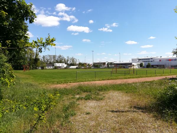Städtischer Platz Waldsportanlage - Maxdorf