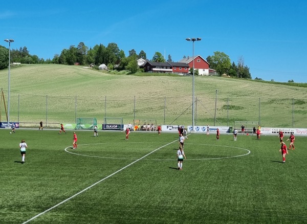 Heradsbygda Kunstgress - Hønefoss