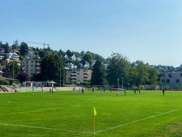Sportplatz Heslibach - Küsnacht ZH