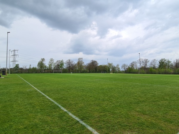Sportpark Het Wooldrik veld 6-NEO veld 6 - Borne