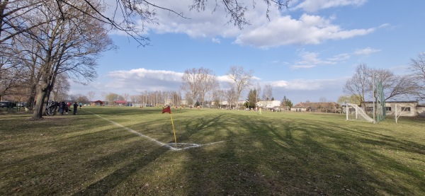 Boisko w Borowie Wielkim - Borów Wielki
