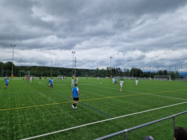 Sportanlage Fallacher - Küsnacht ZH