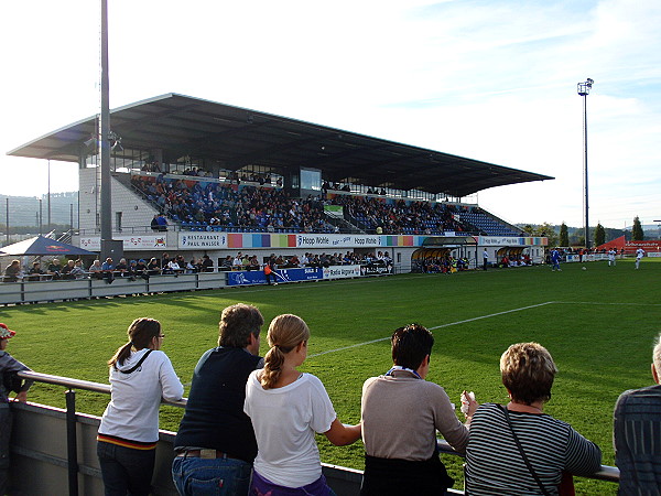 Sportzentrum Niedermatten - Wohlen
