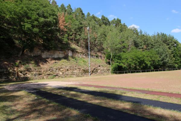 Sportplatz in der Mandel - Weisenheim/Berg