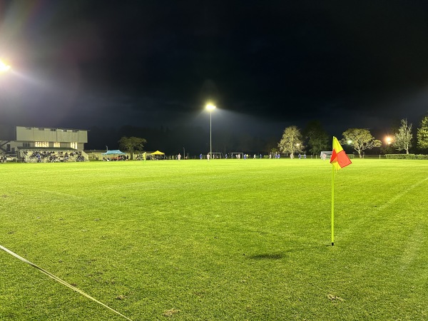 Porritt Stadium field 2 - Hamilton