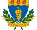 Wappen Mátraszőlős KSE