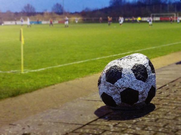 BFC-Arena im Sportzentrum Holzweg - Buchholz/Nordheide