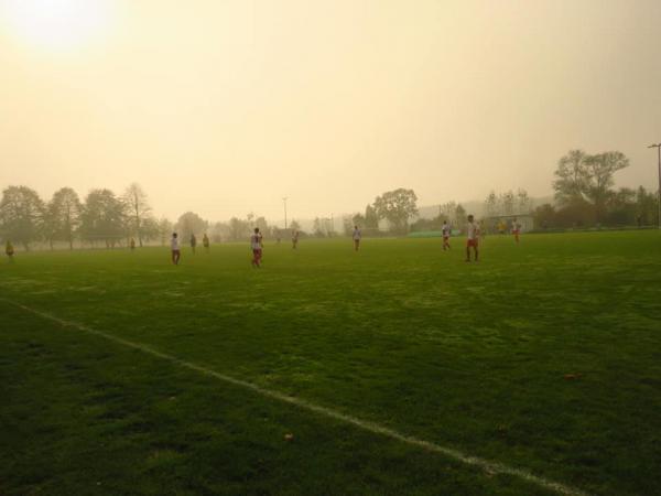 Waldsportpark - Zschepplin-Naundorf