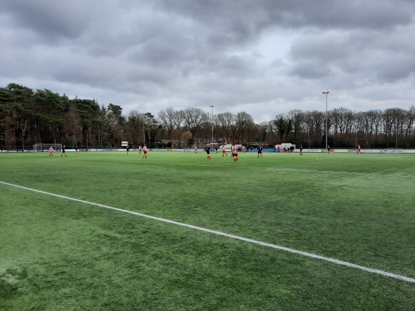 Sportpark Actief - Tynaarlo-Eelde