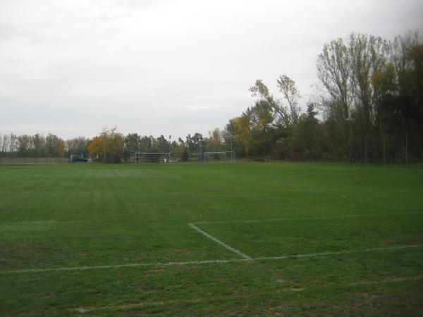 Sportplatz am See - Niedere Börde-Jersleben 