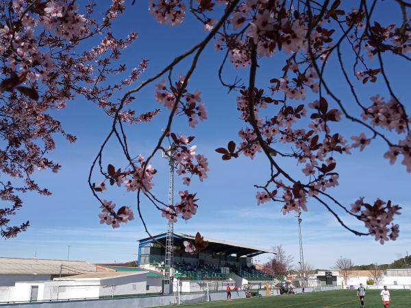Estadio San Marcos - Quintanar del Rey, CM