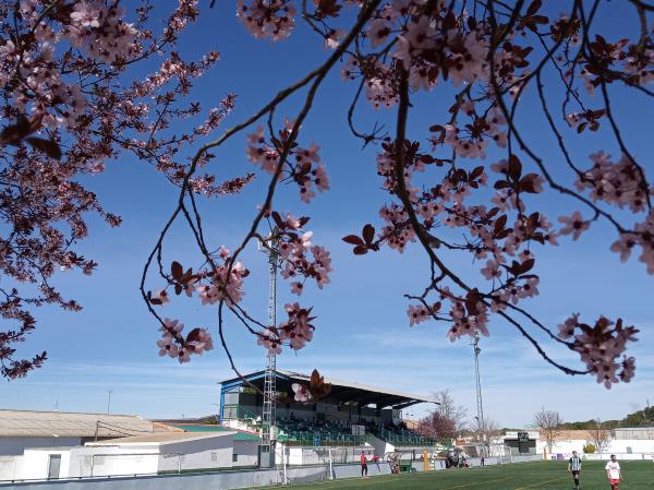 Estadio San Marcos - Quintanar del Rey, Castilla-La Mancha