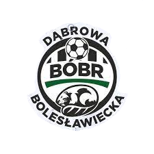 Wappen Bóbr Dąbrowa Bolesławiecka