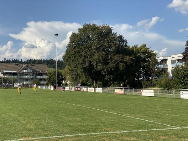 Sportplatz Waldgarten - Heimberg