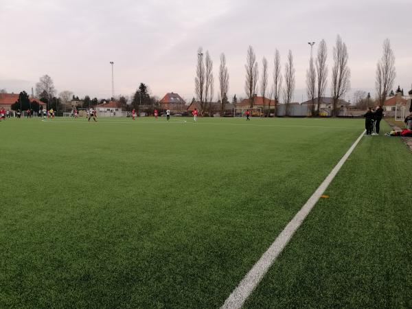 B1903 Stadion Kunstgræs - Hellerup