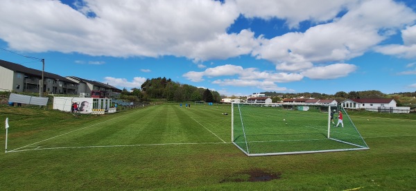 Sakkestad gras - Haugesund