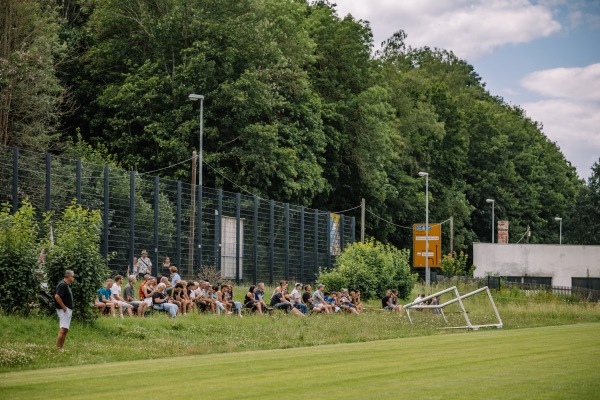 Sportplatz Reichenbacher Straße - Reichenbach/Vogtland-Mylau