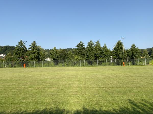 Sportplatz Eisweiher Platz 3 - Oberwil