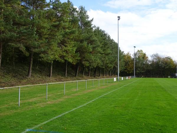 Terrain En Marche - Cossonay-Ville