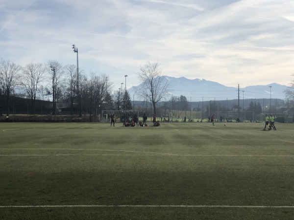 Arena Hochdorf Kunstrasenplatz - Hochdorf