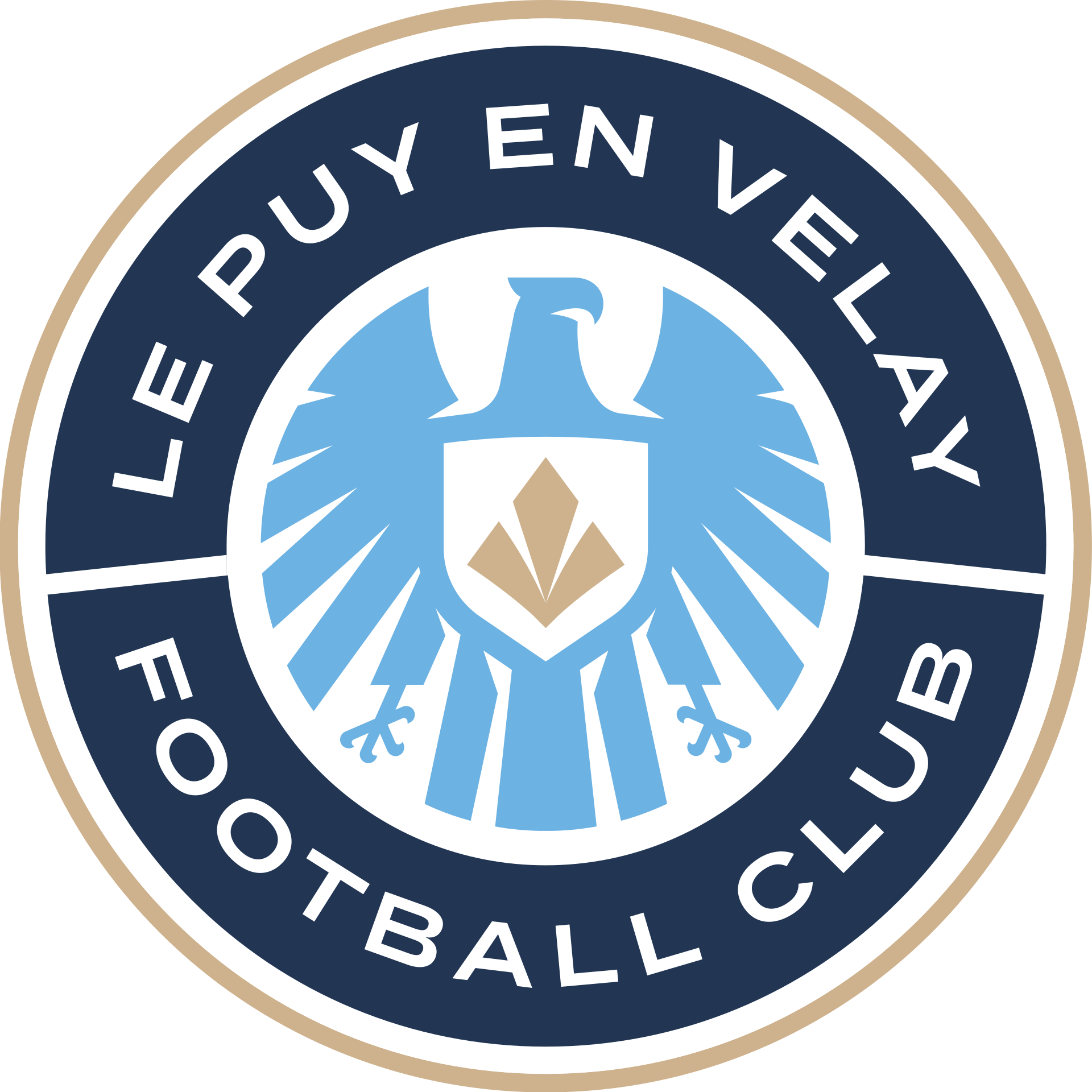 Wappen Le Puy-en-Velay FC diverse