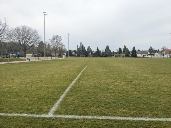 Sportanlage Dudenhofener Straße Platz 2 - Schifferstadt