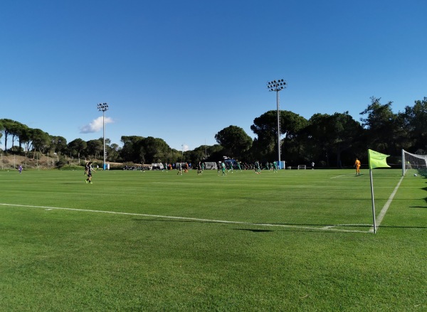 Cornelia Sports Center field 2 - Belek