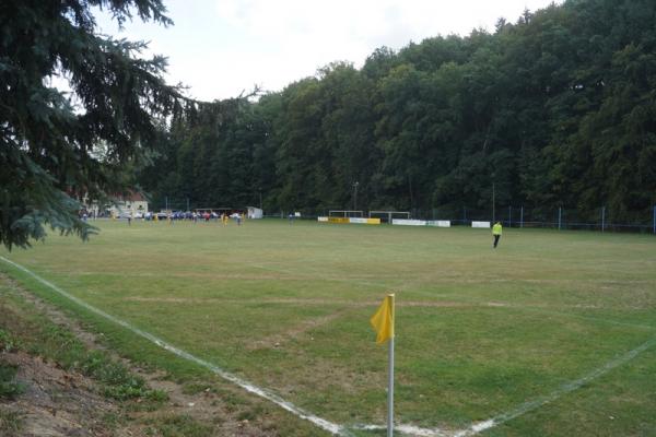 Sportplatz an der Lindenallee - Wildenfels