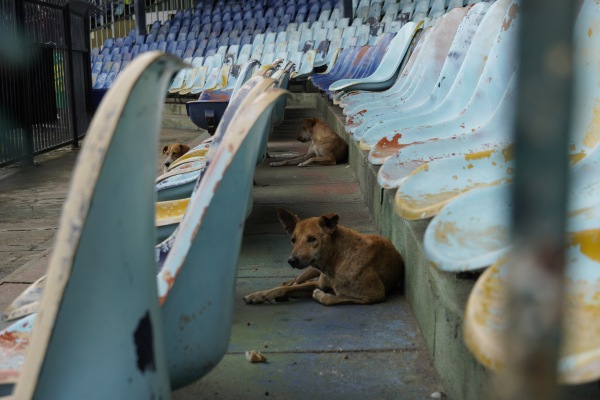 Sugathadasa Stadium - Colombo